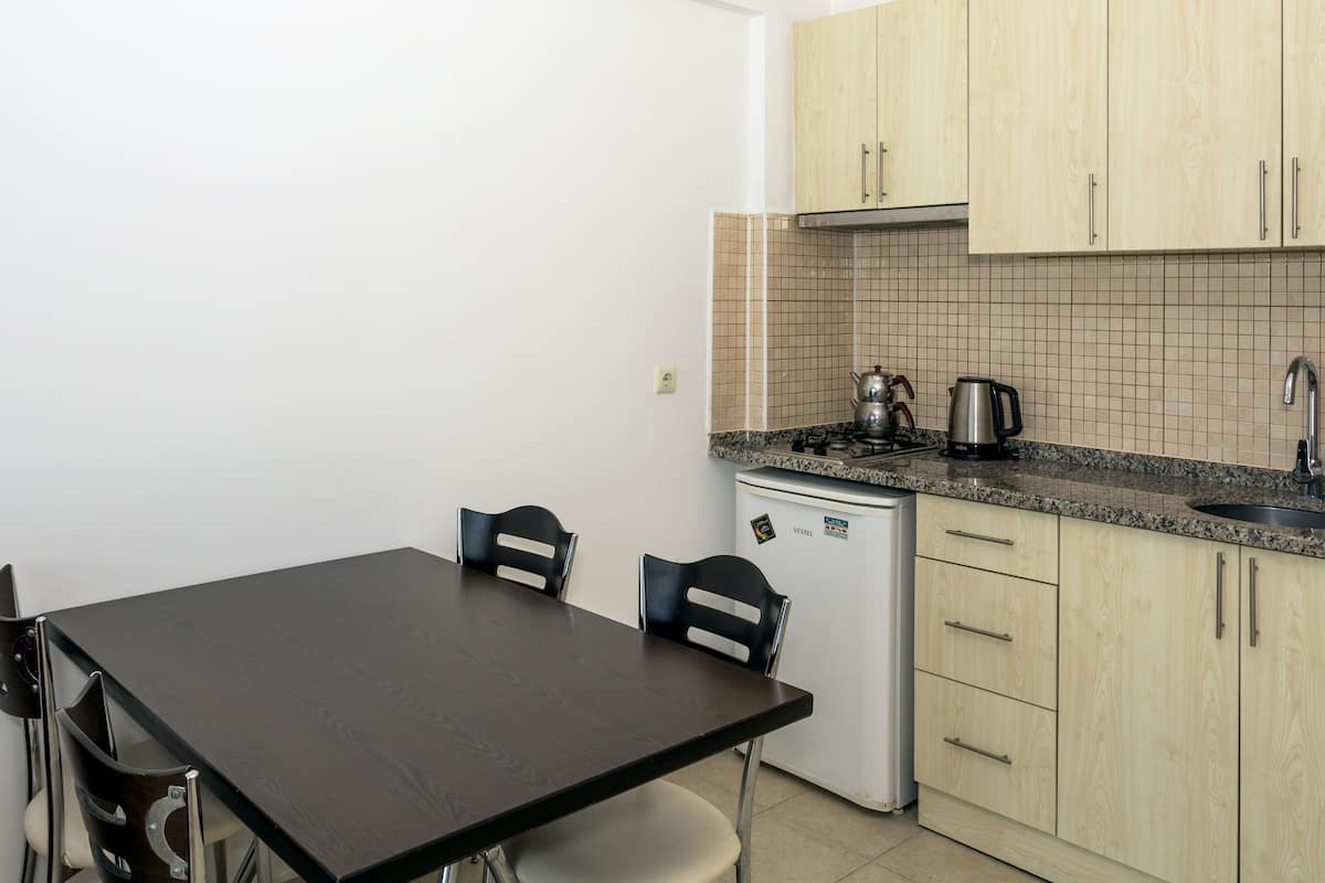 luxury apartment | private kitchen | mini-fridge