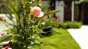 A rose bush with a single pink flower in focus, a well-maintained lawn, and a house with a tiled roof in the background. - Kerem Apart Hotel Gocek (Fethiye)