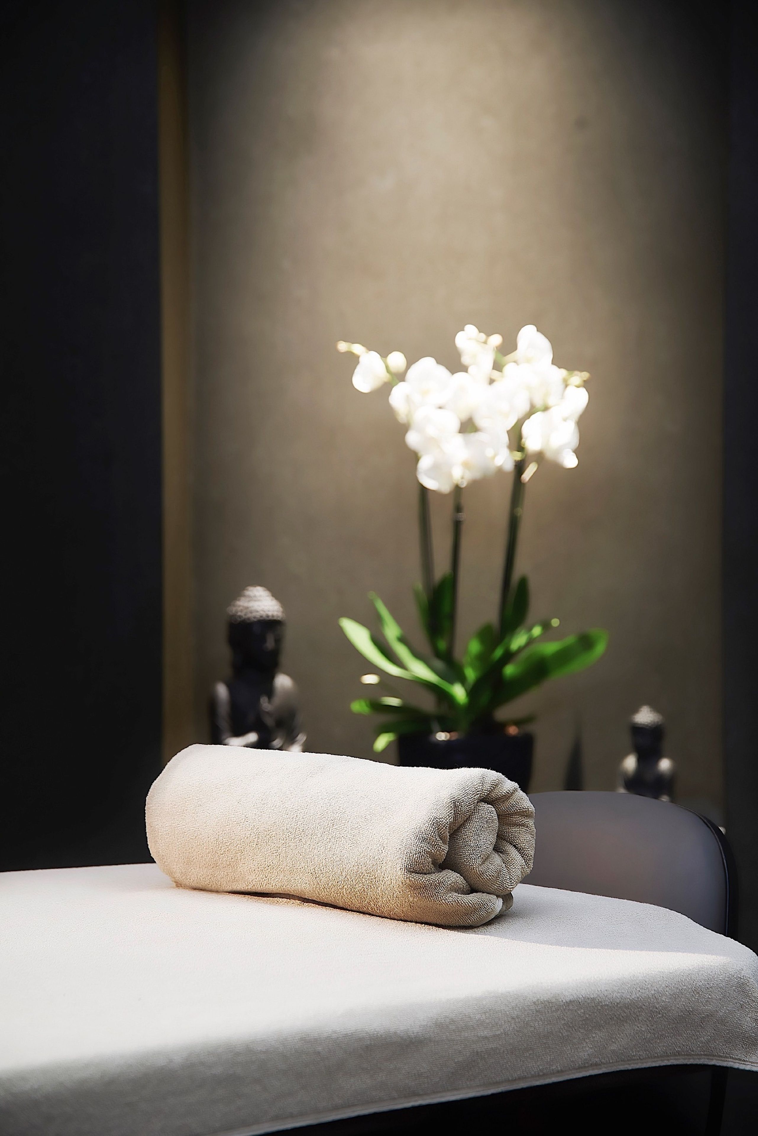 sauna, steam room, massages