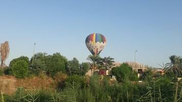 A hot air balloon in a natural landscape with trees and buildings in the background.