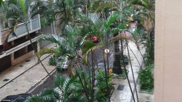 Vista desde la propiedad