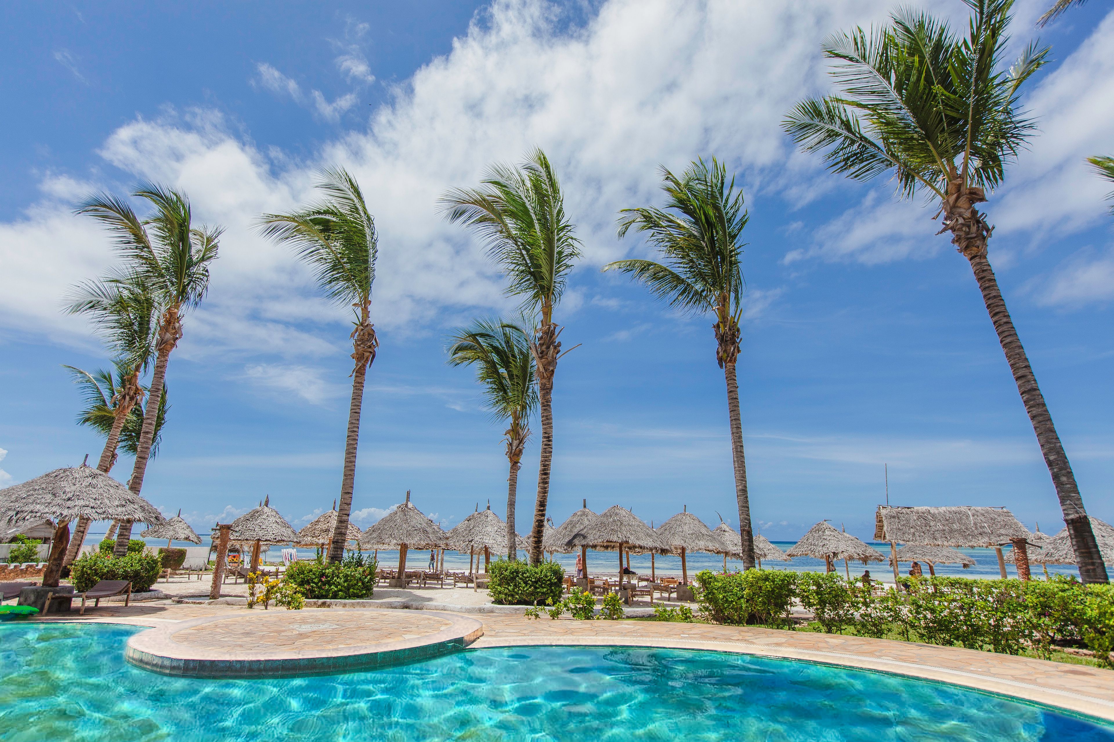 A pool area with palm trees and thatched umbrellas, surrounded by a clear blue sky.