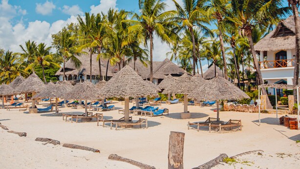 Une plage avec des parasols en chaume, des palmiers et des chaises longues.