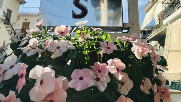 A sign with the name 'VILLA ANTONIS' mounted on a building. - Villa Antonis (Parga)