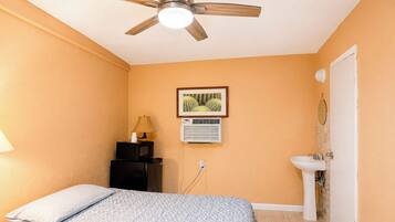A bedroom with a bed, a ceiling fan, a framed picture, an air conditioning unit, and a bathroom with a sink.