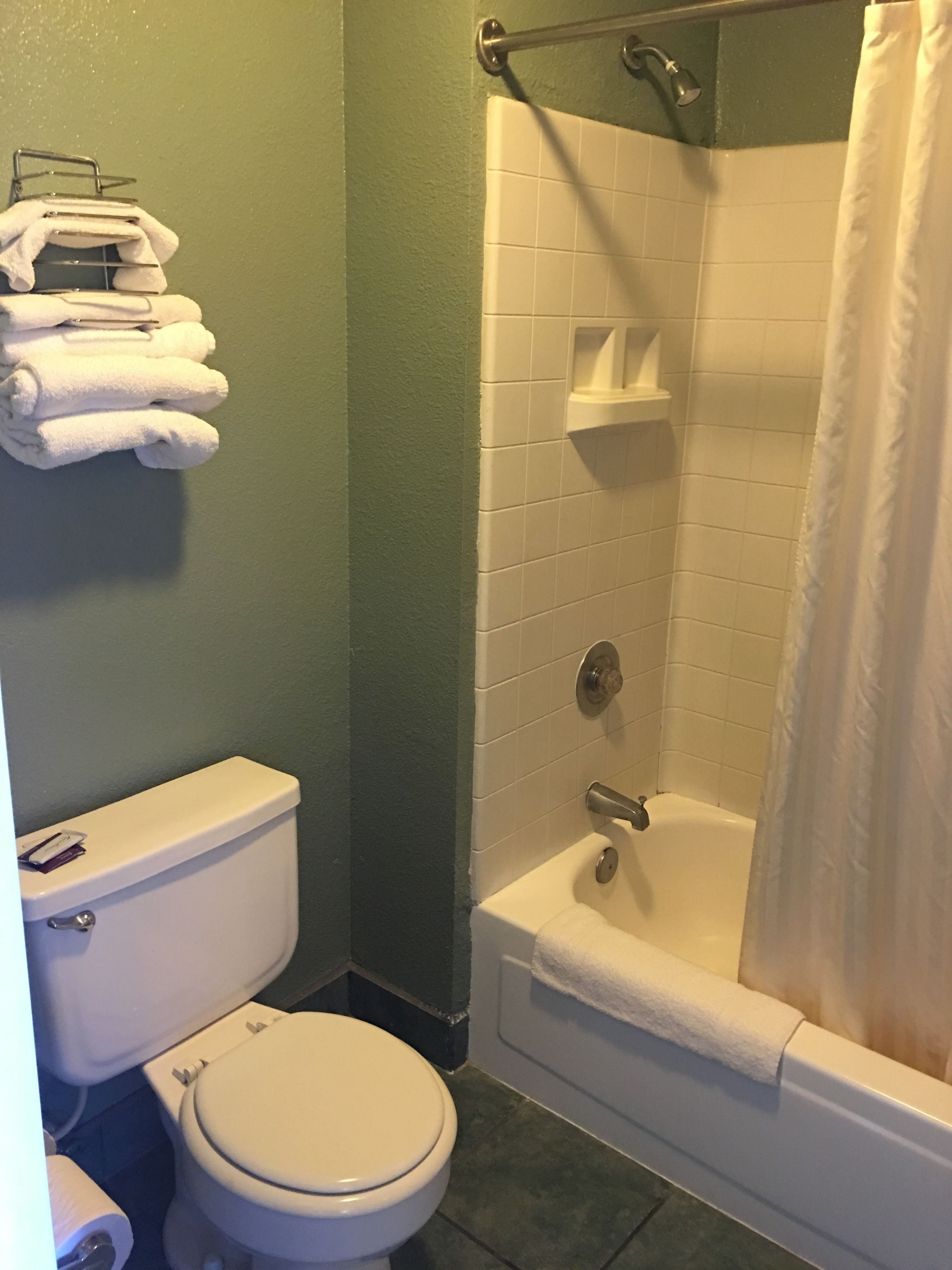 Une salle de bain équipée de toilettes, d’une baignoire et d’un rideau de douche.