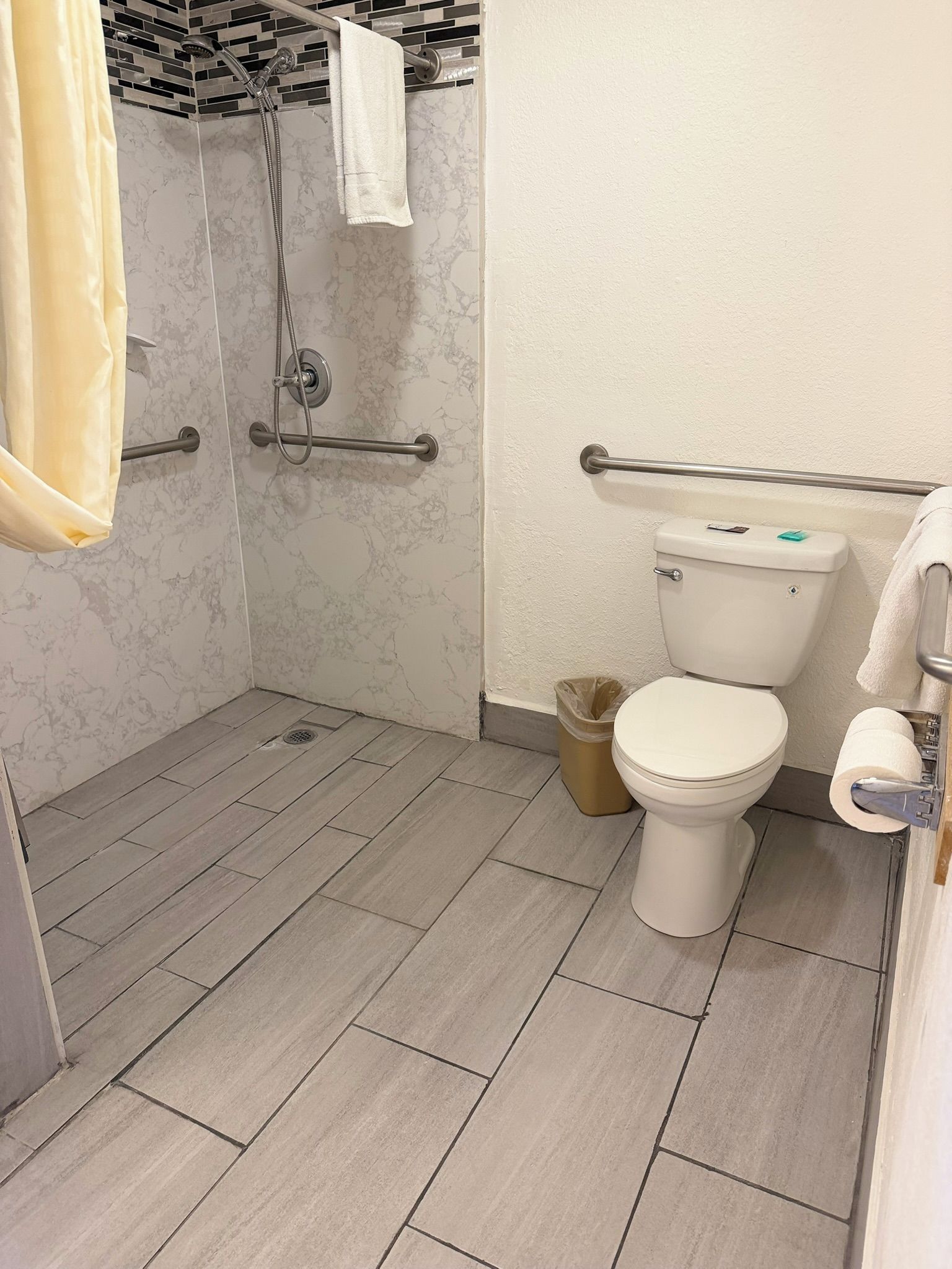 A bathroom with a shower, toilet, and a trash bin.