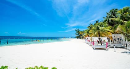 Oh! Cancun The Urban Oasis & Beach Club
