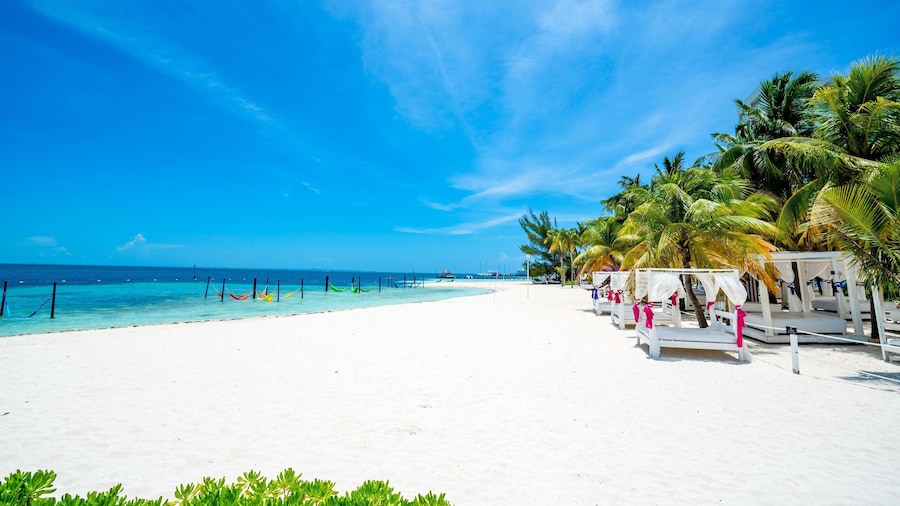Oh! Cancun The Urban Oasis & Beach Club