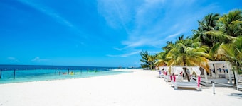 Oh! Cancun The Urban Oasis & Beach Club