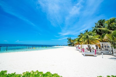 Oh! Cancun The Urban Oasis & Beach Club