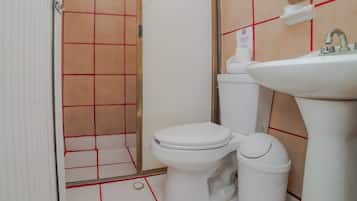 Un baño con inodoro, lavamanos y zona de ducha.