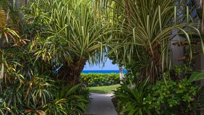 Un sendero bordeado por exuberante vegetación tropical que lleva a una vista del océano.