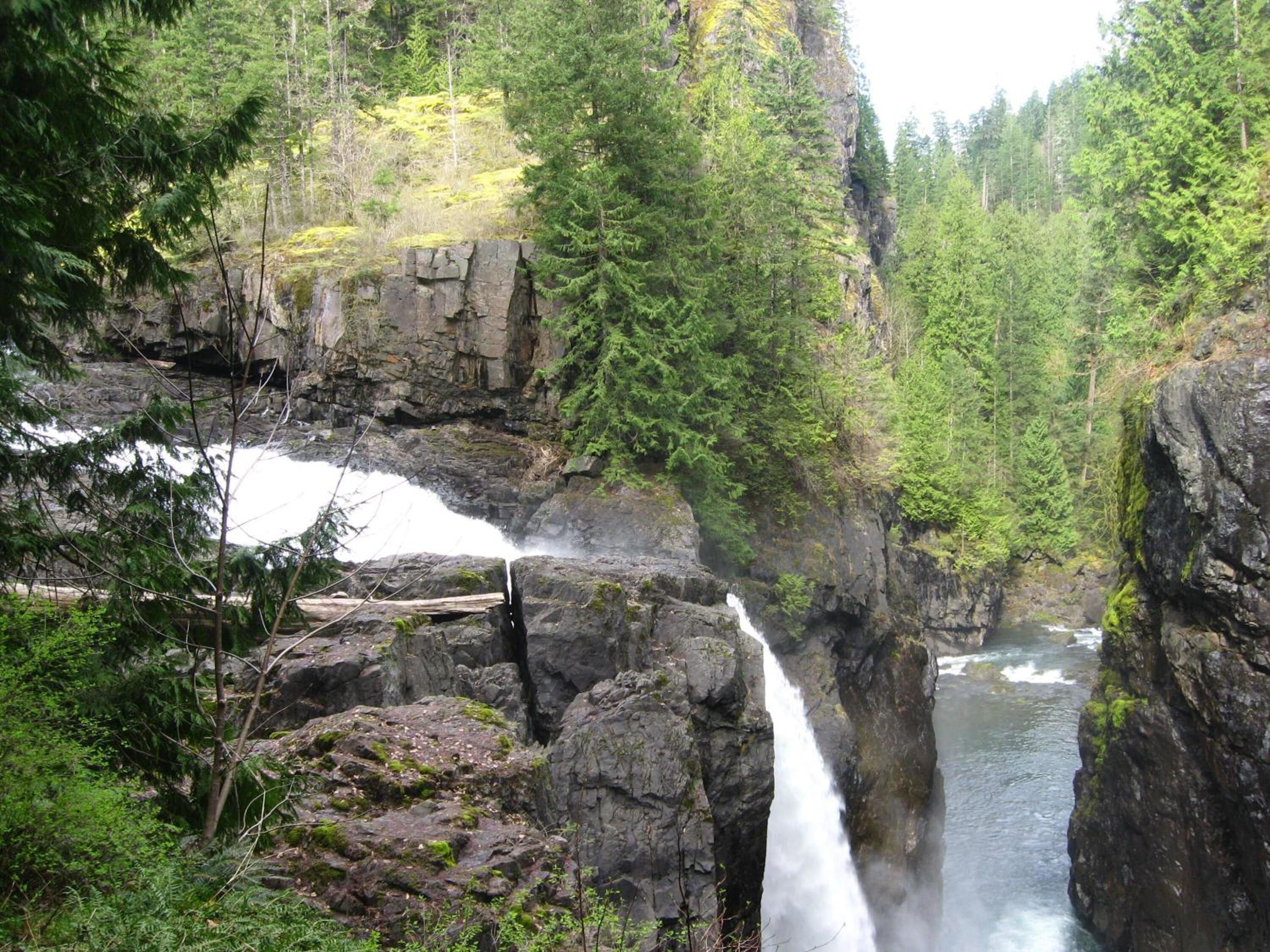 Une cascade se déversant le long d’une falaise rocheuse, entourée d’une forêt dense.