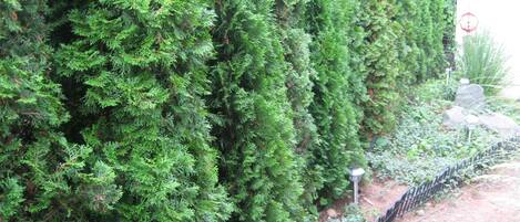 Enceinte de lâhĂ©bergement