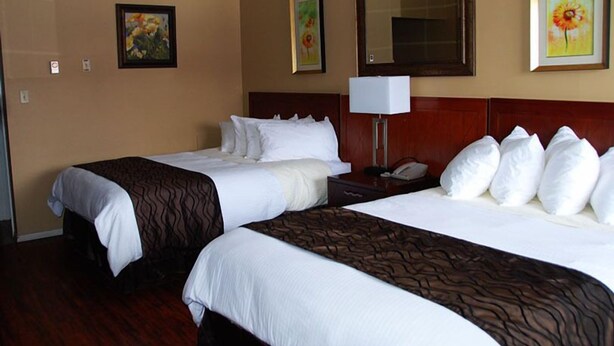 Una habitación de hotel con dos camas, cabecero de madera, mesita de noche con lámpara y cuadros con motivos florales en las paredes.