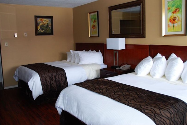 Double Room, Non Smoking, Kitchenette | Egyptian cotton sheets, premium bedding, pillowtop beds, in-room safe