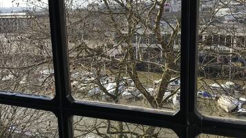 Vista a través de una ventana, con un árbol en primer plano y un estacionamiento con varios vehículos al fondo.