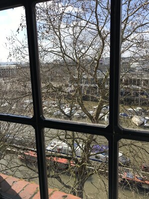 A view through a window with a tree in the foreground and a parking lot with various vehicles in the background.