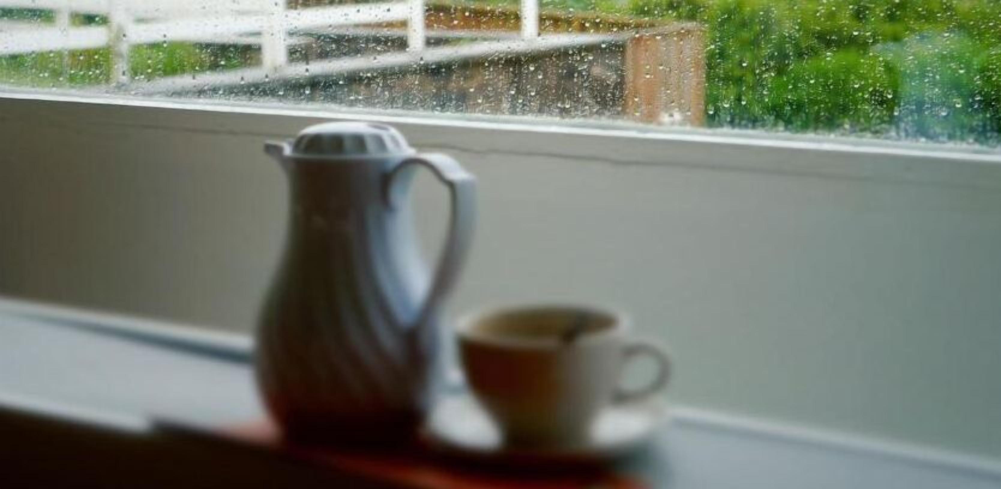 A window with a white pitcher and a cup on a table, with a view of a white fence and greenery outside.