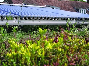 Detalle exterior