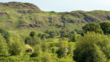 A rural landscape with rolling hills, a small wooden structure, and dense greenery.