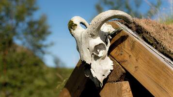 A wooden structure with a skull mounted on it.
