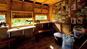 Interior rústico de cabaña con paredes y techo de madera, una ventana con vistas a la vegetación, un telescopio e ilustraciones de aves en la pared.