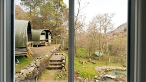 Un terrain de camping avec une tente verte et un camping-car, entourés d’arbres et traversés par un petit ruisseau.