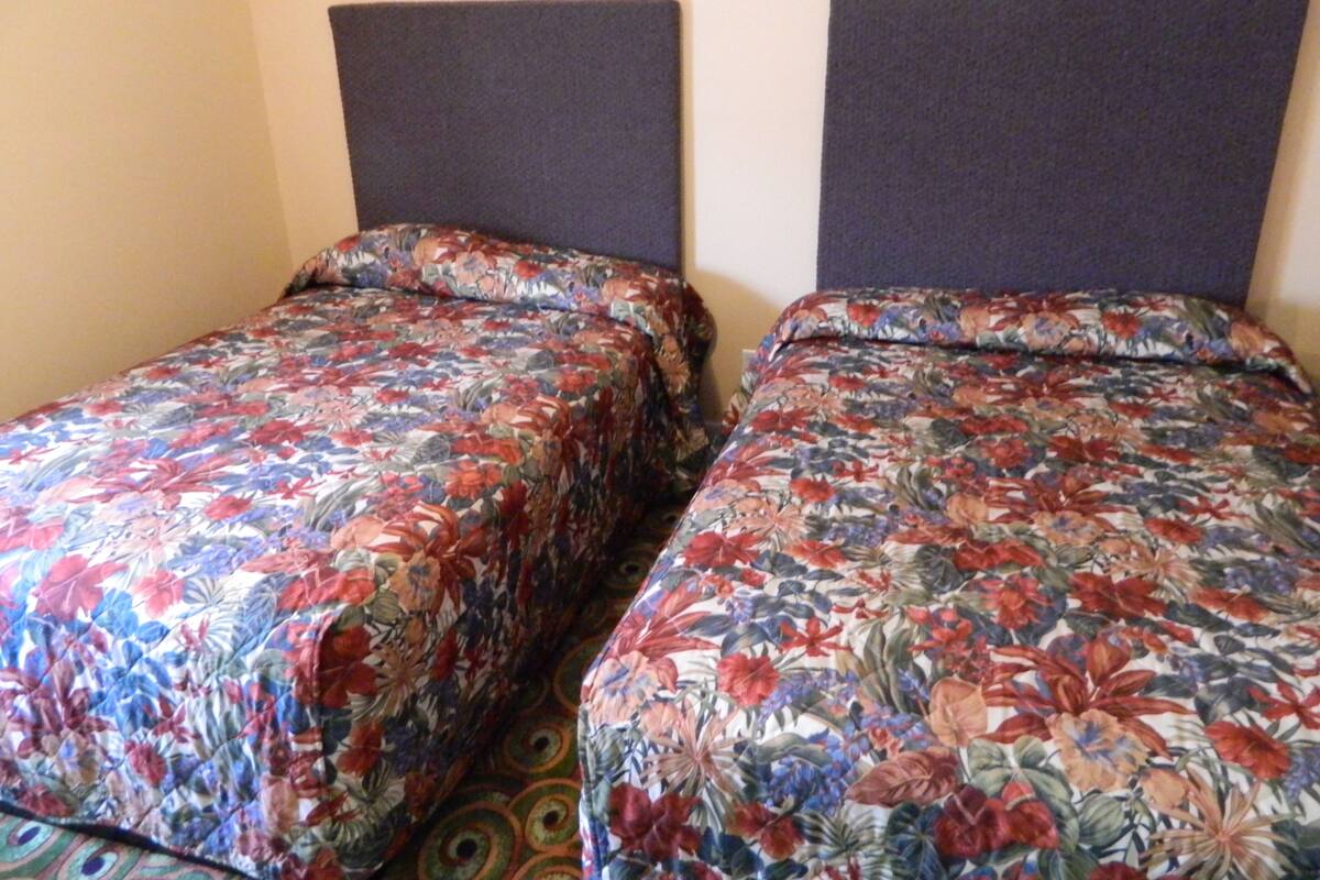 Two single beds with floral bedding and dark headboards in a room.