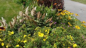 Un motel con una hilera de habitaciones, una zona de estacionamiento y un jardín con diversas flores.