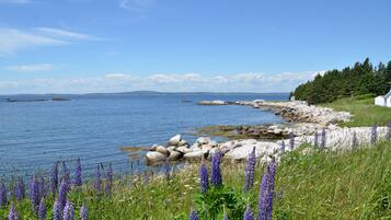 A coastal landscape with a rocky shoreline, a small white building, and purple flowers in the foreground.