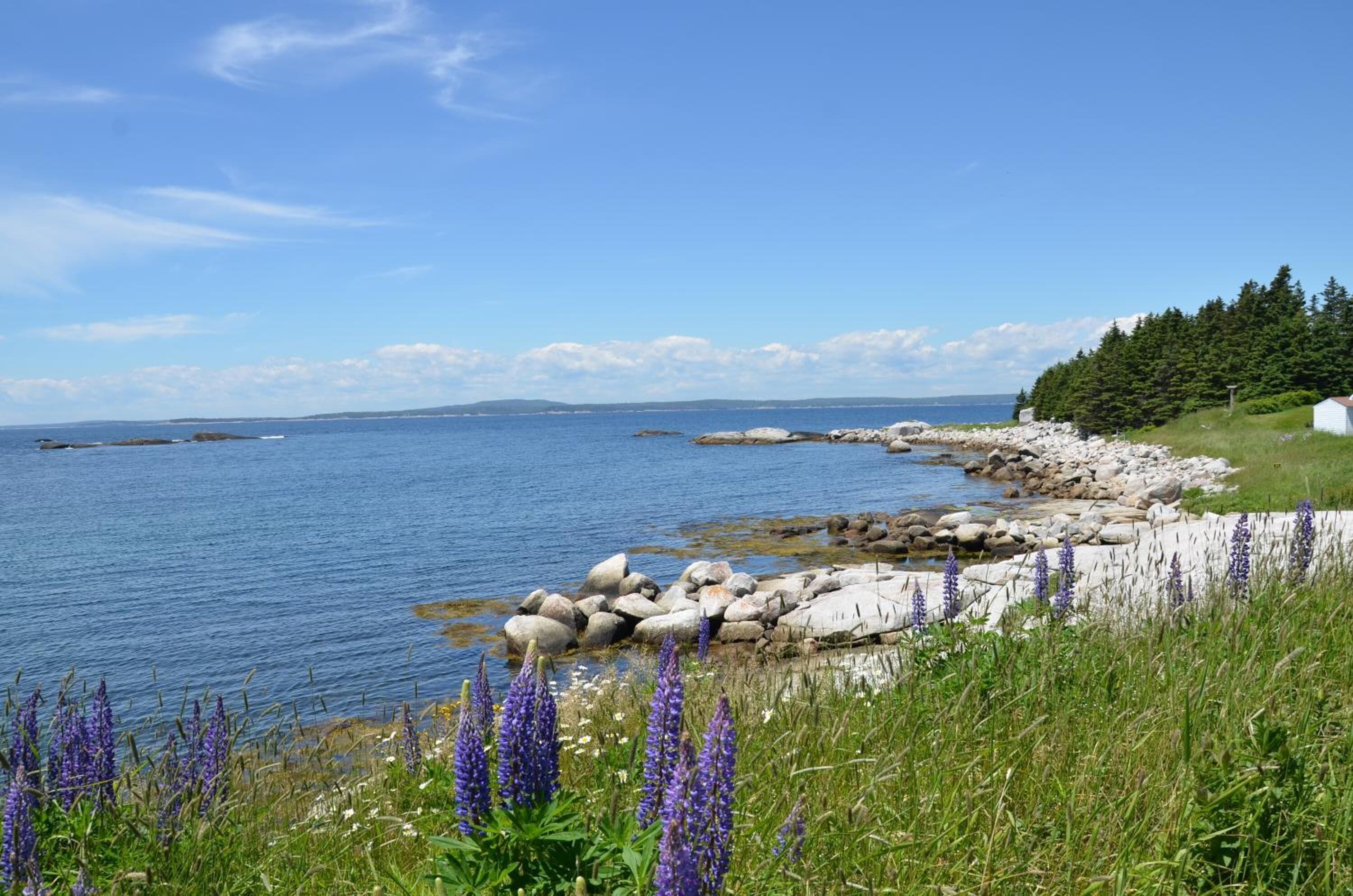 A coastal landscape with a rocky shoreline, a clear blue sky, and a distant view of land across the water.