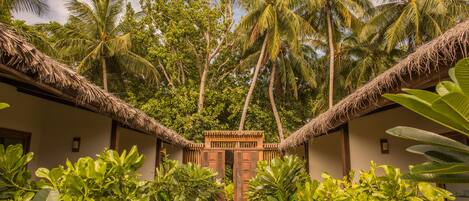 A pathway leading to a wooden gate surrounded by lush tropical vegetation and palm trees.