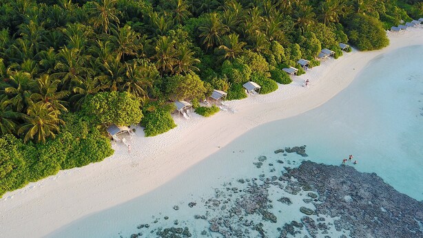 An aerial view of a beach with palm trees, beach huts, and a clear blue sea.