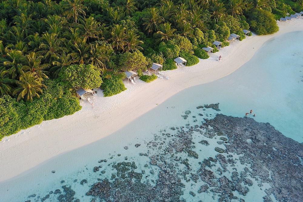 Plumeria Maldives — rental in Moony Night, Kaleyfaanu Higun, Vaavu Atoll, Thinadhoo MV, 10020