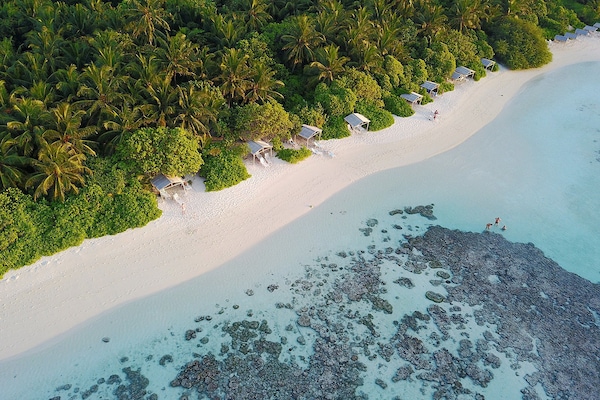 On the beach, scuba diving, snorkeling, water skiing