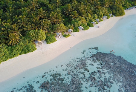 On the beach, scuba diving, snorkeling, water skiing. Plumeria Maldives