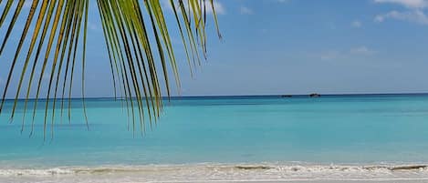 On the beach, white sand, kayaking