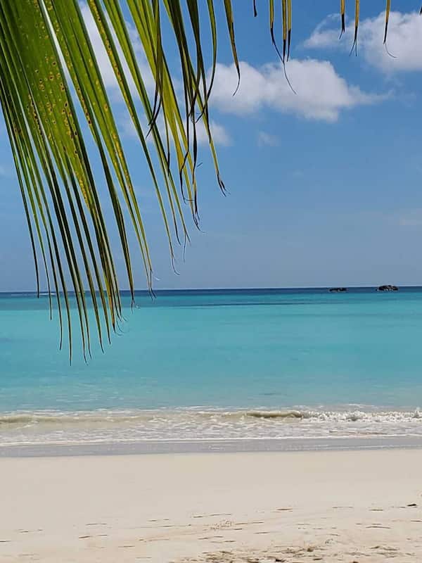 On the beach, white sand, kayaking