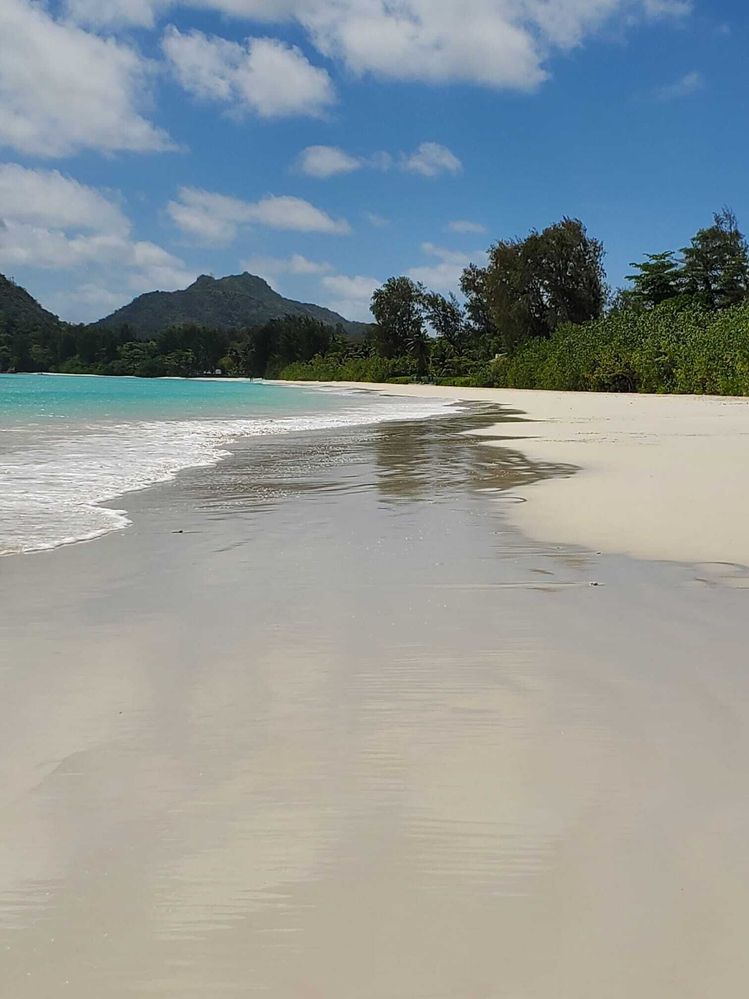 A beach with clear turquoise water, white sand, and lush greenery in the background.