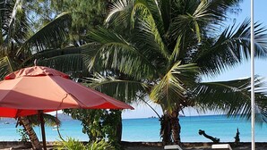 Een zwembadgedeelte met uitzicht op de oceaan, een palmboom en een strand met ligbedden.