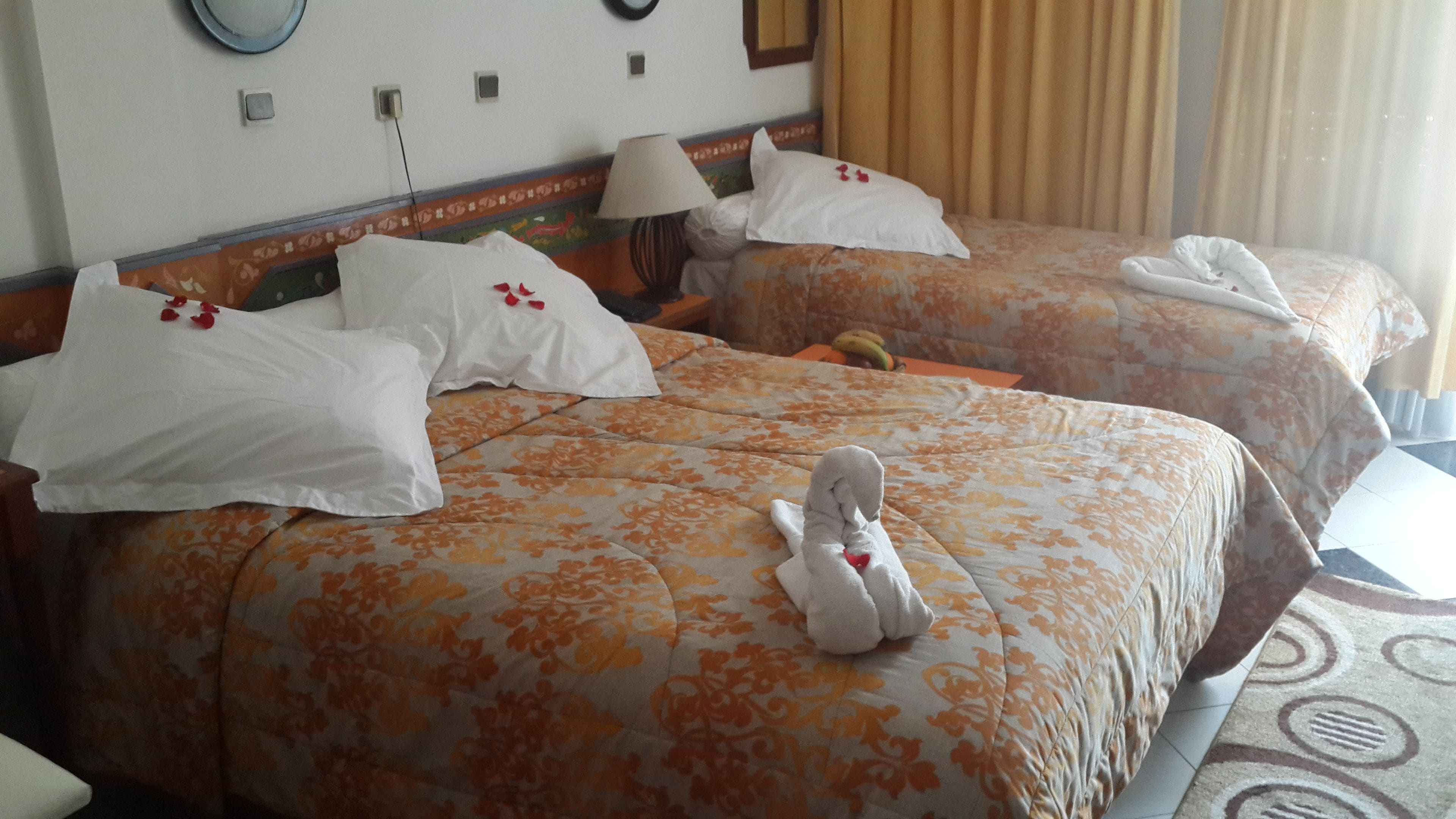 Foto - Hotel Sindibad