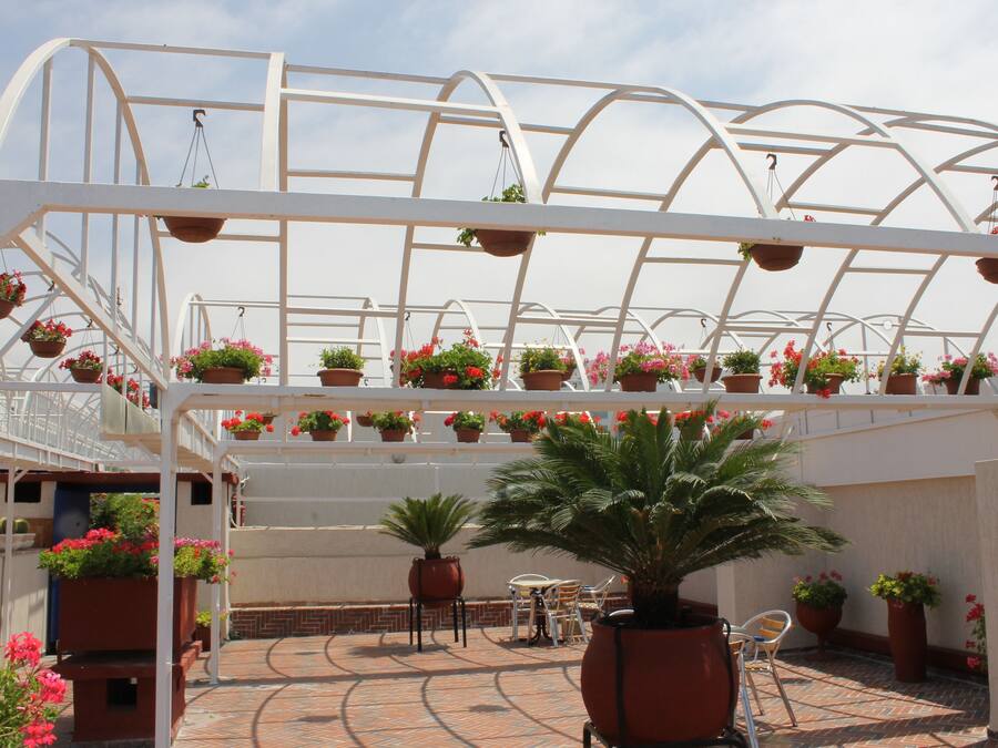 Terrasse/patio