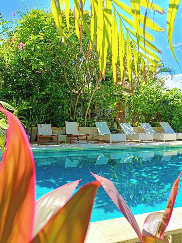 Kolam renang outdoor, dengan payung kolam renang dan kursi berjemur