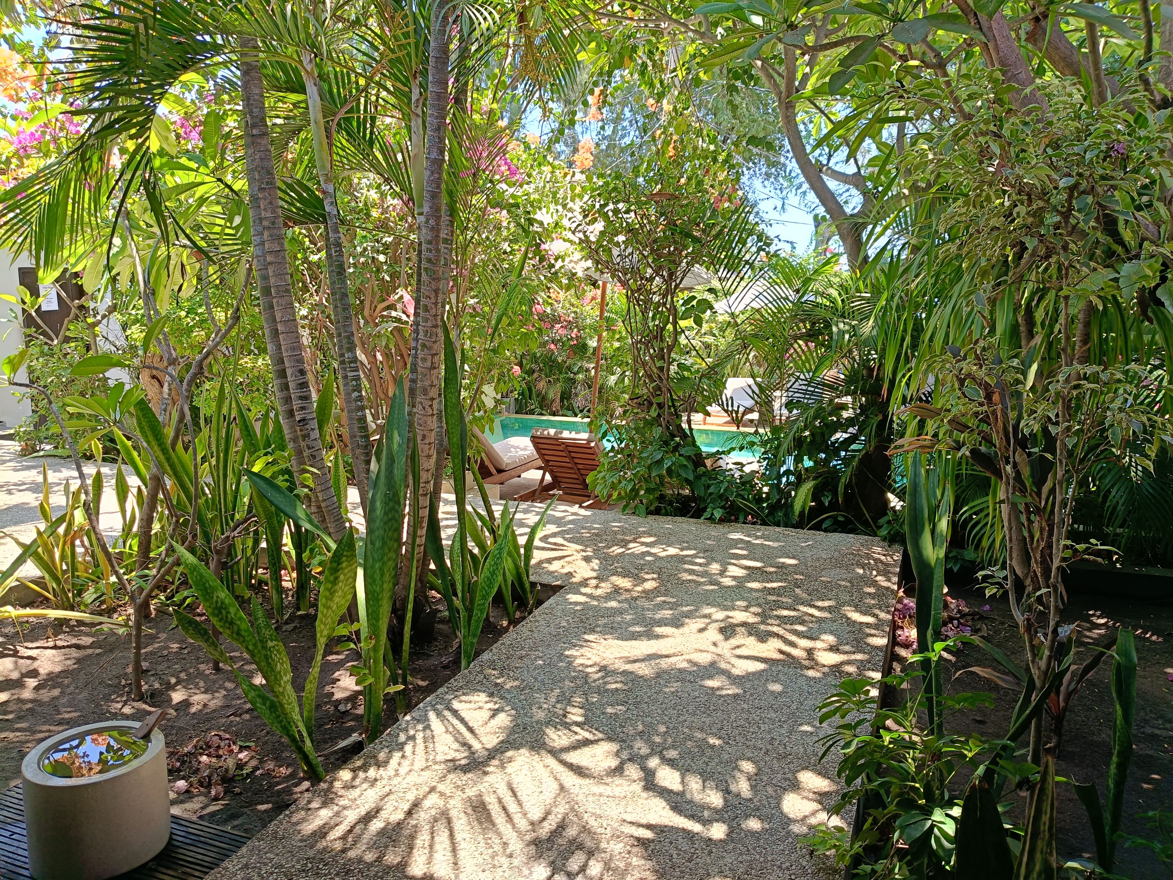 Un sendero en un jardín con una piscina, rodeado de diversas plantas y árboles tropicales.