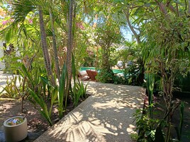 Un sendero en un jardín con una piscina, rodeado de diversas plantas y árboles tropicales.