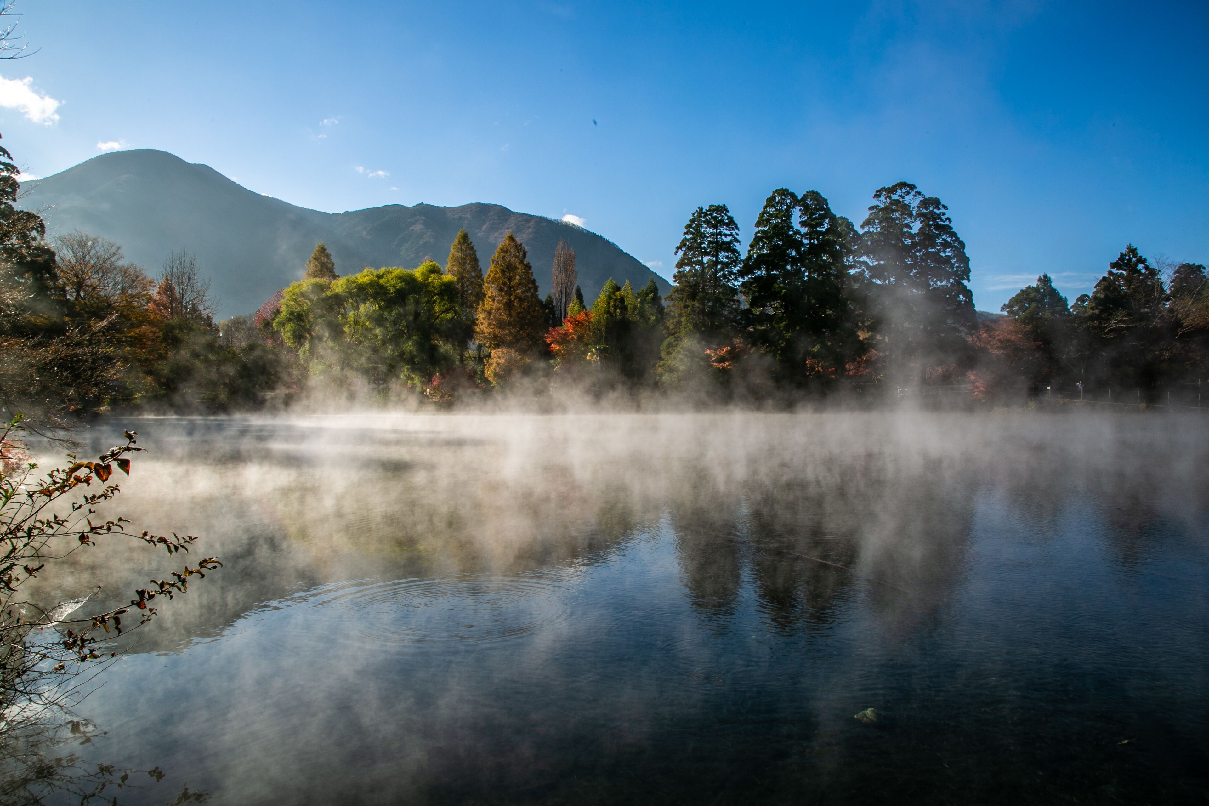A calm lake with reflections of trees and a mountain in the background.