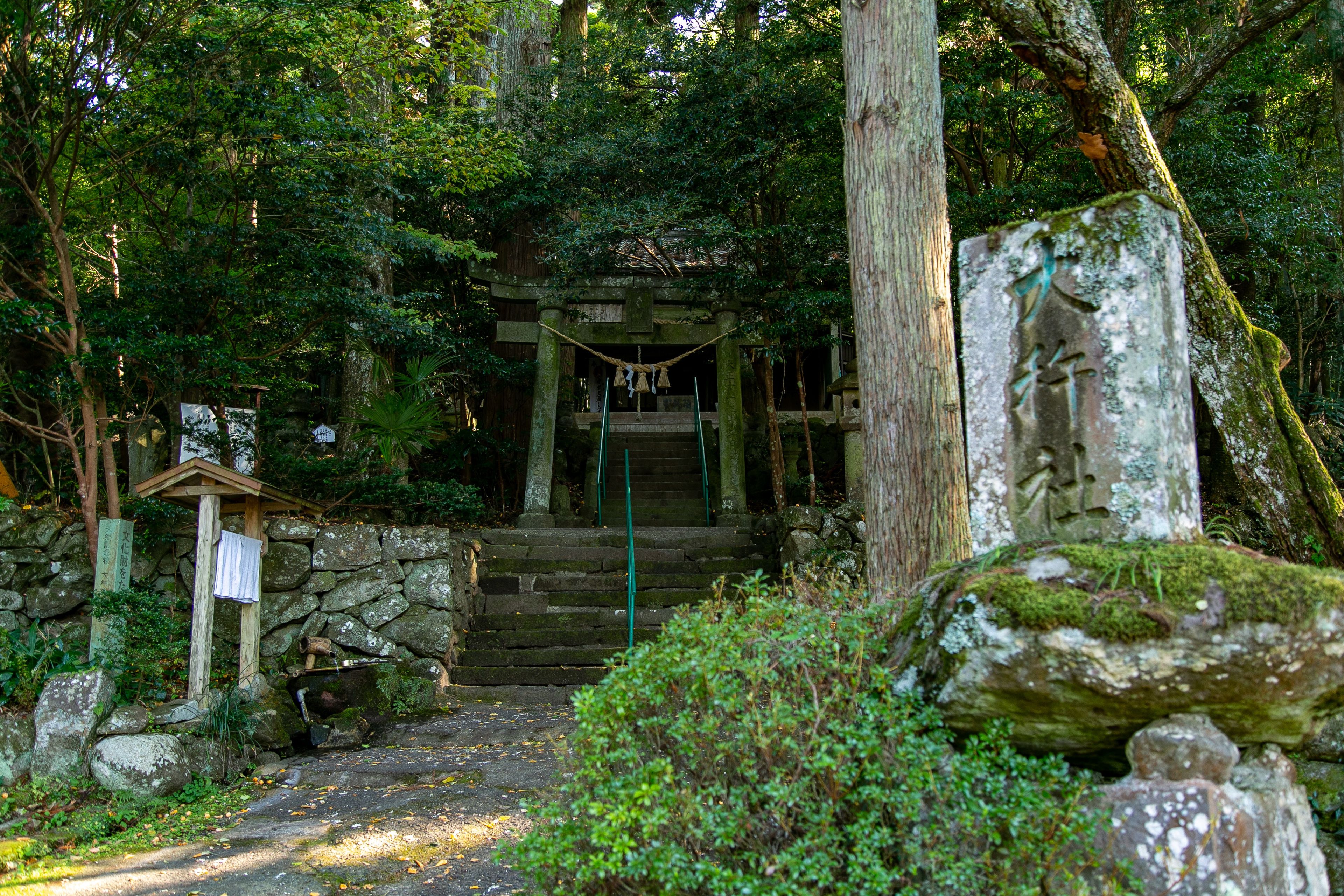 A traditional Japanese temple entrance with stone steps, a wooden structure, and a stone lantern.
