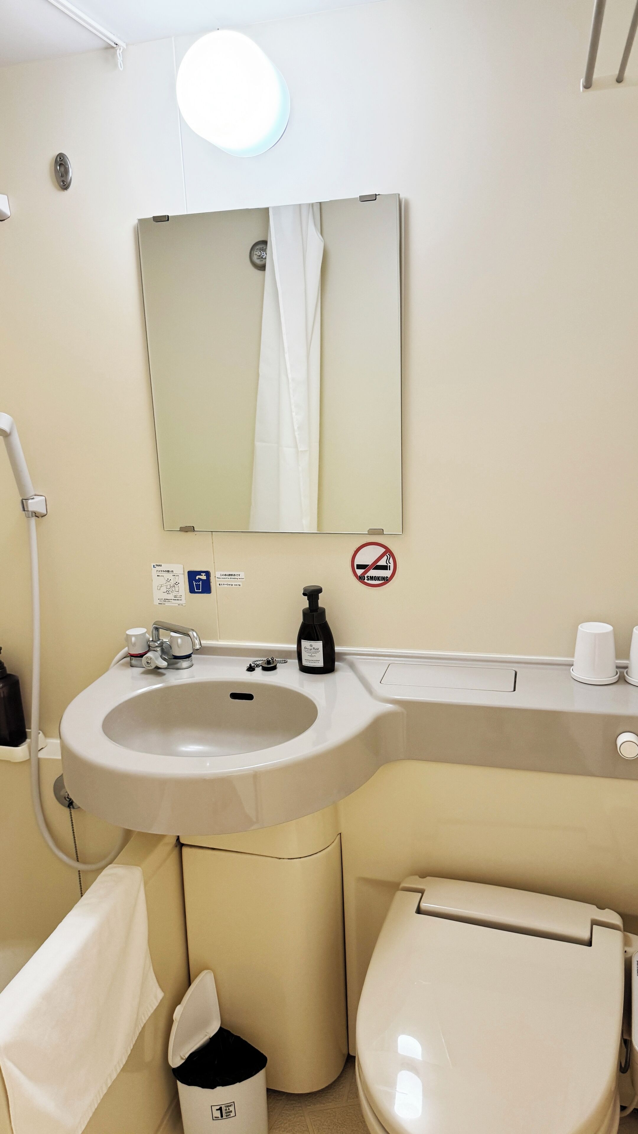 Un baño con lavamanos, espejo, inodoro y un cubo de basura.